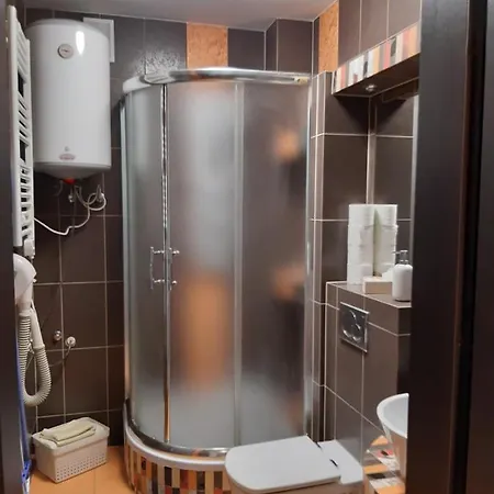 Roza 1 Sauna & Jacuzzi Jaszczurowka 21a Apartment *